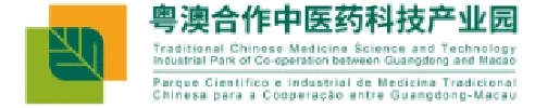 图片11