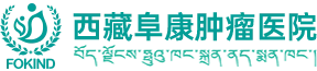 图片28